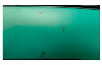 Лодка моторная ПВХ Gladiator E 350PRO уценка