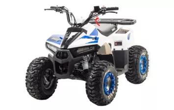 Квадроцикл MOTOLAND ATV 110 EAGLE
