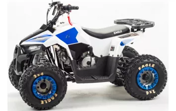 Квадроцикл MOTOLAND ATV 110 EAGLE