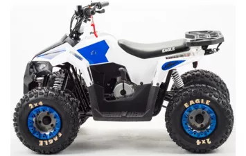 Квадроцикл MOTOLAND ATV 110 EAGLE