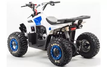 Квадроцикл MOTOLAND ATV 110 EAGLE