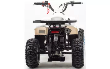 Квадроцикл MOTOLAND ATV 110 EAGLE