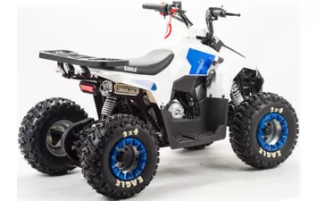Квадроцикл MOTOLAND ATV 110 EAGLE