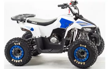Квадроцикл MOTOLAND ATV 110 EAGLE