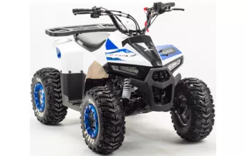 Квадроцикл MOTOLAND ATV 110 EAGLE