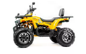 Квадроцикл MOTOLAND ATV 200 WILD TRACK X PRO