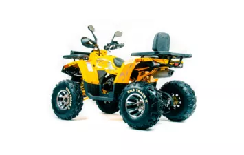 Квадроцикл MOTOLAND ATV 200 WILD TRACK X PRO