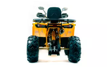 Квадроцикл MOTOLAND ATV 200 WILD TRACK X PRO