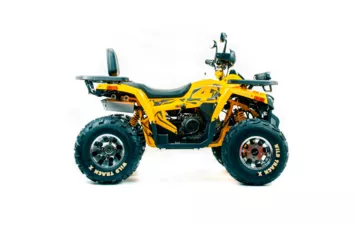 Квадроцикл MOTOLAND ATV 200 WILD TRACK X PRO