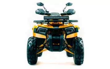 Квадроцикл MOTOLAND ATV 200 WILD TRACK X PRO