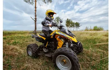 Квадроцикл RM Рысь 150
