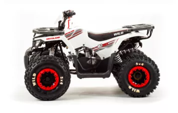 Квадроцикл MOTOLAND ATV 125 WILD