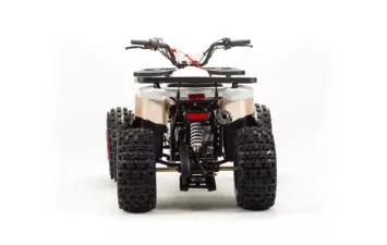 Квадроцикл MOTOLAND ATV 125 WILD