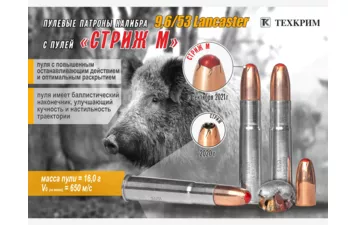 Патрон Техкрим к.9,6/53 Lancaster пуля Стриж М