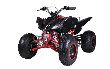 Квадроцикл Mikilon Rapide 200 EFI (vin)