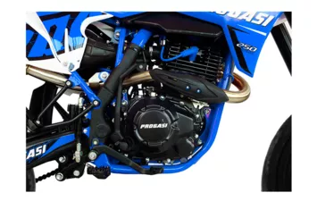 Мотоцикл PROGASI SUPER MAX 250 SM (Blue, , )