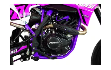 Мотоцикл PROGASI SUPER MAX 250 SM (Purple, , )