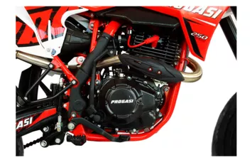 Мотоцикл PROGASI SUPER MAX 250 SM (Red, , )