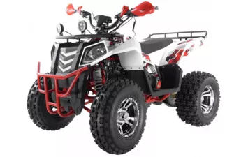 Квадроцикл ATV WELS 200 EVO X