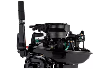 Мотор Parsun T9.9BMS