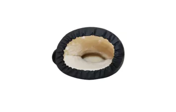 Сапоги Nora Thermic+