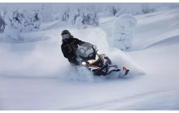 Снегоход Lynx 49 Ranger ST 900 ACE 59mm 2020