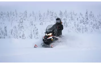 Снегоход Lynx 49 Ranger ST 900 ACE 59mm 2020