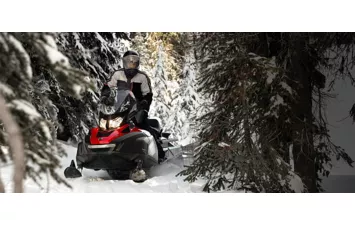 Снегоход Ski-Doo Skandic SWT 600 E-Tec  2019