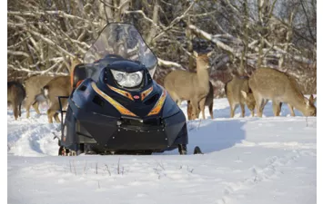 Снегоход Tayga Patrul 550 SWT_
