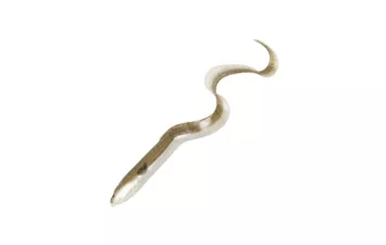 Приманка SG LB Real Eel 40 (Olive Sparkle Pearl )