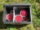 Контейнер изотерм. CW Thermobox 45L