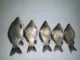 Крючок Owner Cut Ssw