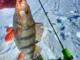 Балансир Rapala Jigging Rap W05