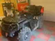 Квадроцикл AODES Pathcross ATV 800 L EPS двухместный