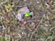 Блесна Savage Gear CAVIAR SPINNER #4 14g