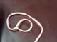 Червь Berkley Gulp Alive Angle Worm 5см.