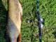 Приманка Keitech Easy Shiner 5