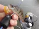 Слаги плав. Lucky John Pro Series Ultraworm 2.0 in
