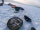 Мормышка Тульская Муравей 2.5