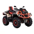 Квадроцикл AODES Pathcross ATV 1000 L MUD PRO EPS LCD двухместный (золотой,  )