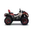 Квадроцикл AODES Pathcross ATV 1000 L MUD PRO EPS SE двухместный