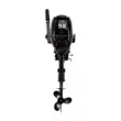 Мотор GLADIATOR G 9.8 FHS new