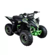Квадроцикл Mikilon Rapide 110 (Черный, , , )