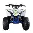 Квадроцикл Mikilon Rapide 110 (Белый, , , )