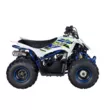 Квадроцикл Mikilon Rapide 110 (Белый, , , )