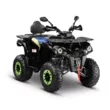 Квадроцикл Gladiator F200 Lux (Черный, , , )