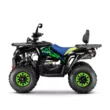 Квадроцикл Gladiator F200 Lux (Черный, , , )