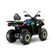 Квадроцикл Gladiator F200 Lux (Черный, , , )