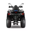Квадроцикл Gladiator F200 Lux (Черный, , , )