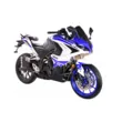Мотоцикл Racer RC250XZR-A Storm (Синий, , )